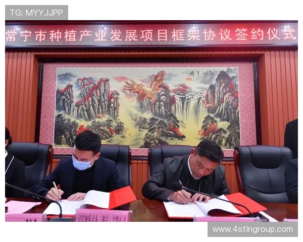 九游娱乐平台与不莱梅队合作的详细过程及其对双方发展的积极推动作用